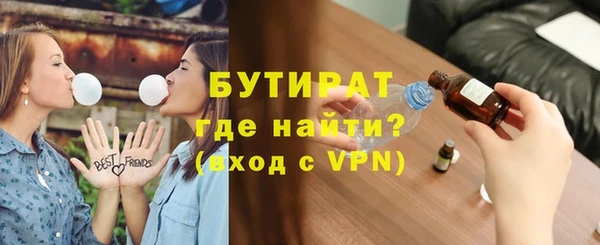 индика Нестеровская