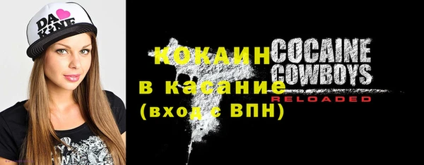 соль ск Новодвинск