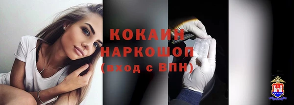соль ск Новодвинск