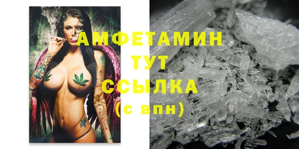 соль ск Новодвинск