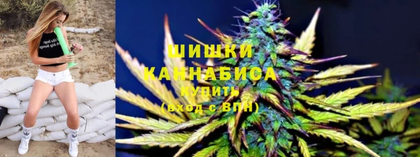 соль ск Новодвинск
