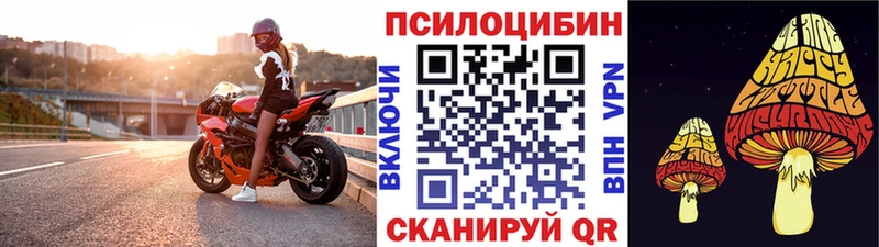 Псилоцибиновые грибы Psilocybe Щёлкино