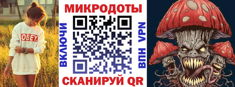 Галлюциногенные грибы Psilocybe  Щёлкино 